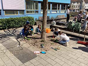 Herrichten des Bienenbuffets