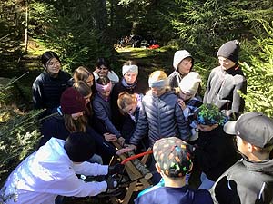 Lernen im Wald